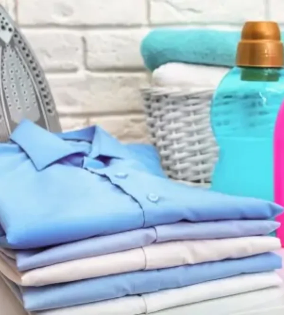 Dry Cleaning in Puppalaguda